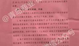 十梅庵拆迁最新爆料,揭秘拆迁背后的故事与影响